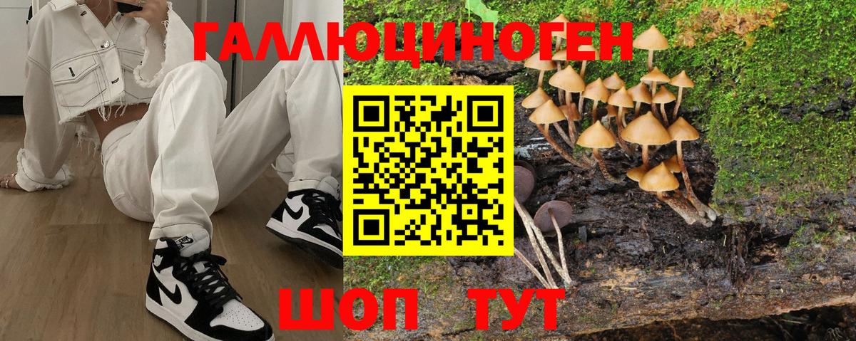 Псилоцибиновые грибы Cubensis  Вход с VPN  Псилоцибиновые грибы прущие грибы  Белореченск 